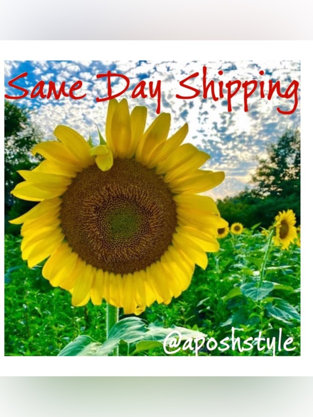 Welcome! Fast shipping! Have questions? I can help